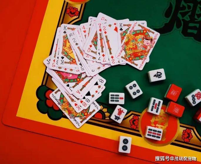 麻将胡了2试玩网站在农村打麻将算赌博吗？